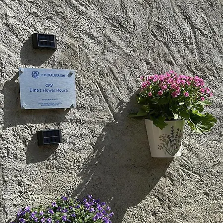 بيت للعطل Dina's Flower House ليرنا