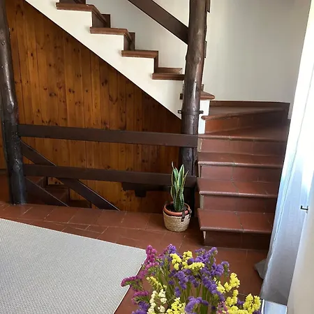 Dina's Flower House بيت للعطل *